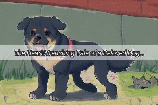 The HeartWrenching Tale of a Beloved Dogs Disappearance Can the Villain Be Confronted